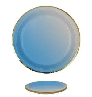 Blue White Plate