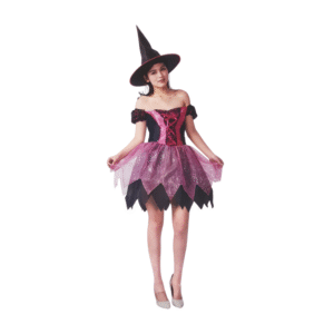 Female Adult Pink Witch Costume