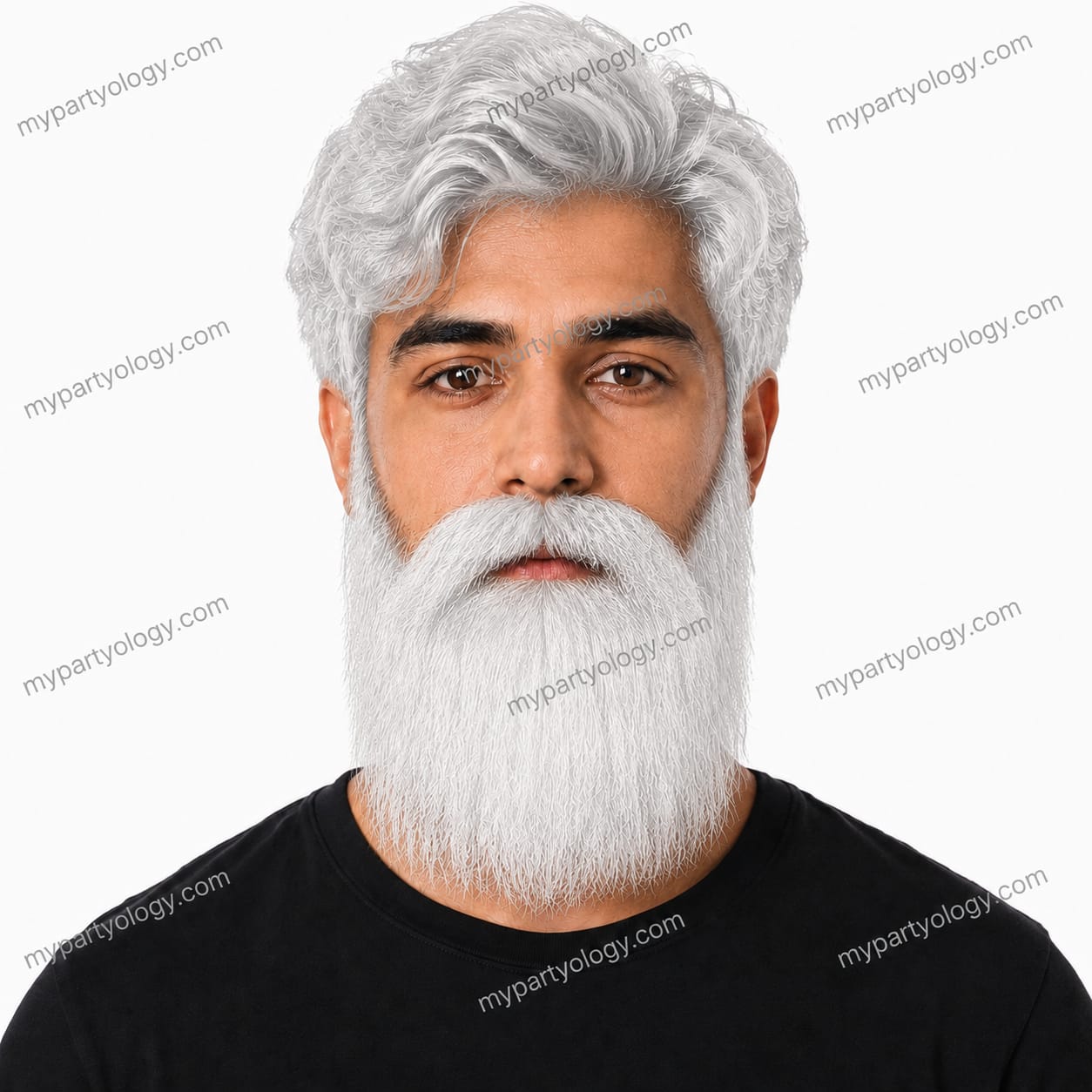 Traditional White Beard & Mustache Set (Pack of 1)