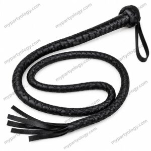 Black Leather Whip