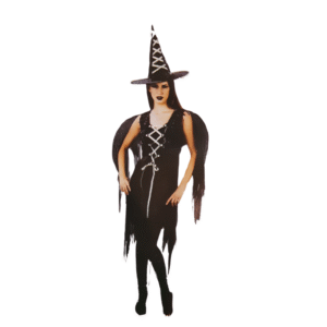 Female Adult Witch Fairy Costume