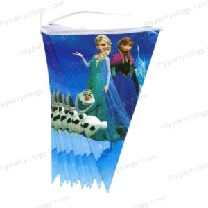 Frozen Theme Flag/Pennant Banner