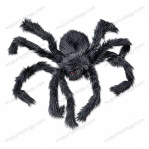 Small Furry Spider