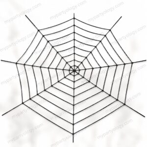 Black Nylon 6ft Spider Web