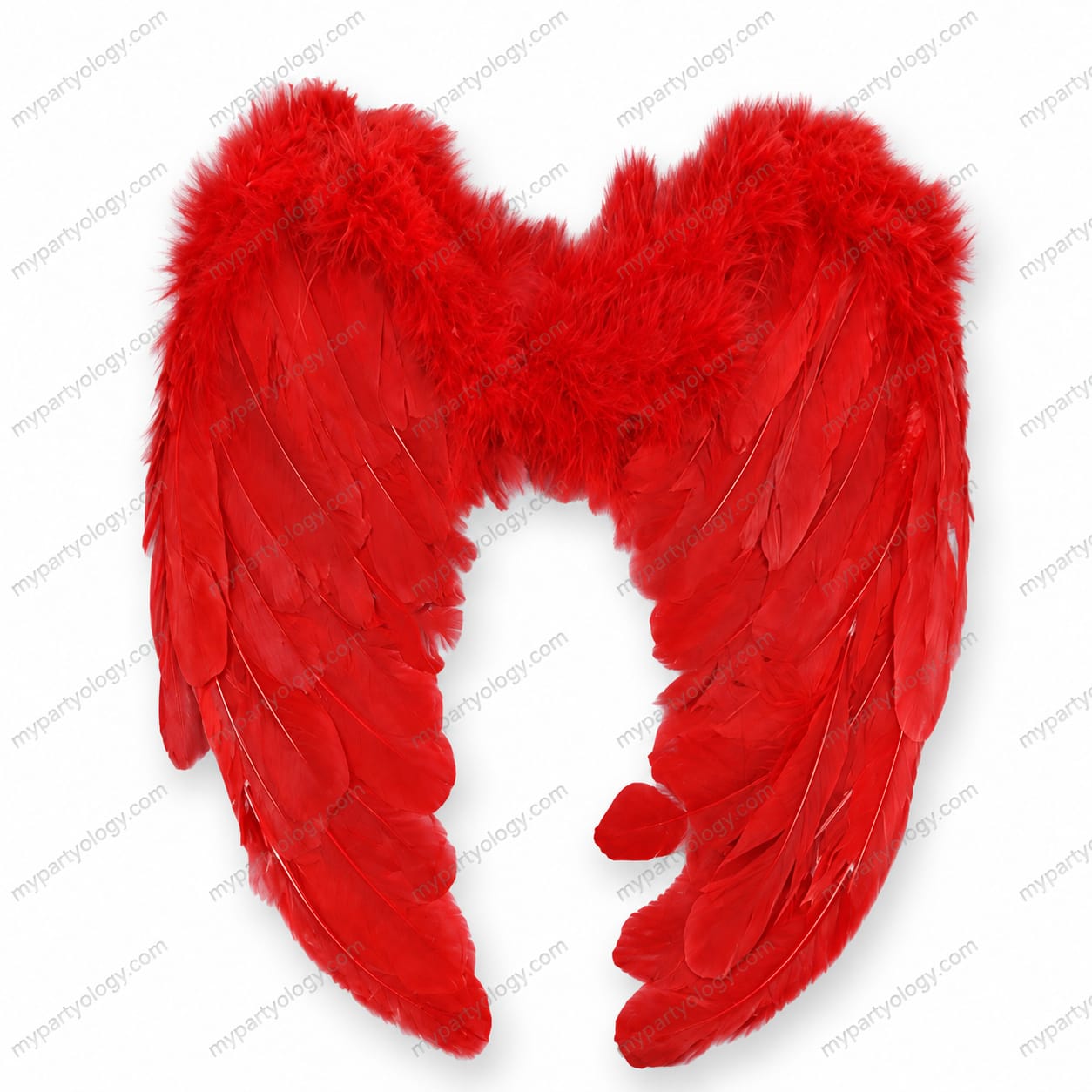Red Feather Wings (Size - L) - Image 2