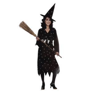 Female Adult Witch Black Costume