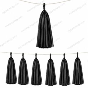Black Paper Tassles Hanging Decor Set (Pack of 10)