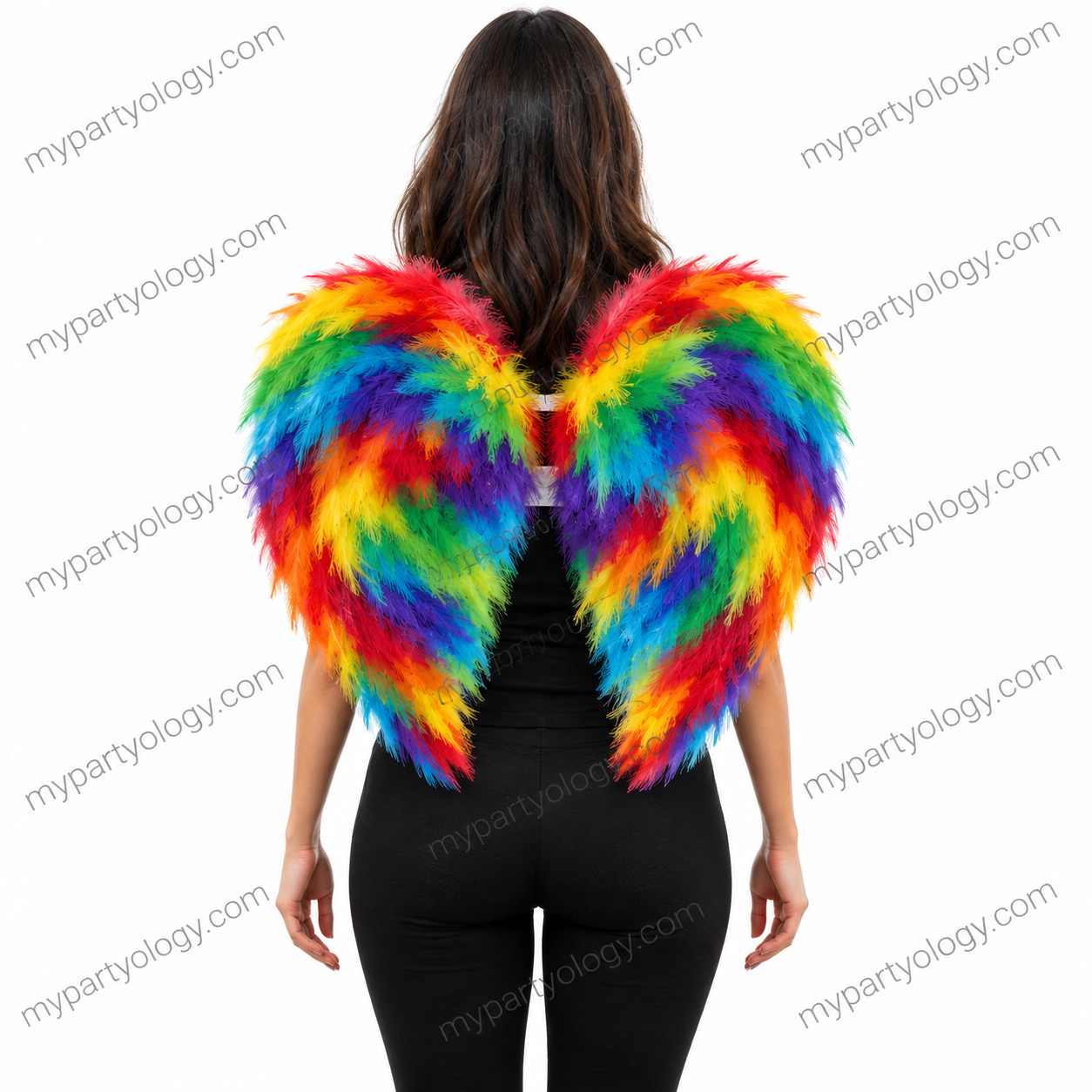 Colourful Feather Wings (Size-L)