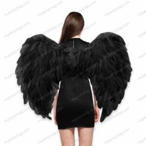Black Feather Wings (Size-L)