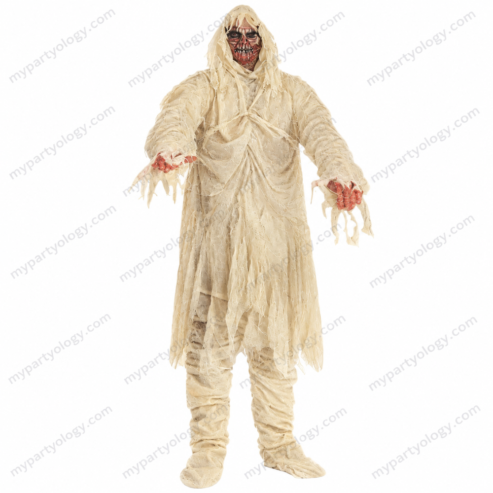 Mummy Adult Male Costume
