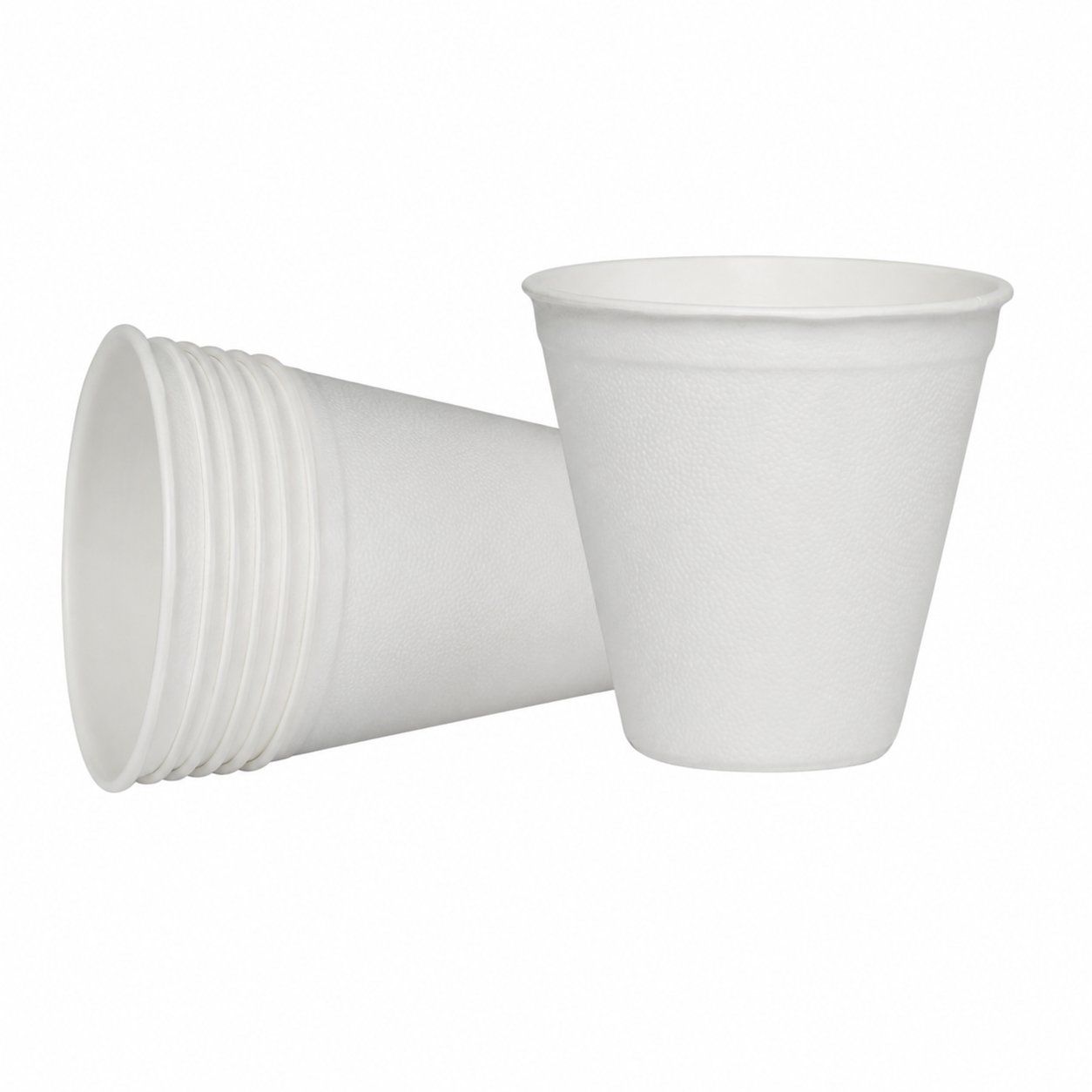 Bagasse 250ml Cup 10/pkt