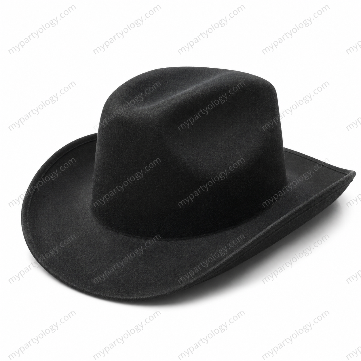 Cowboy Black Felt Hat