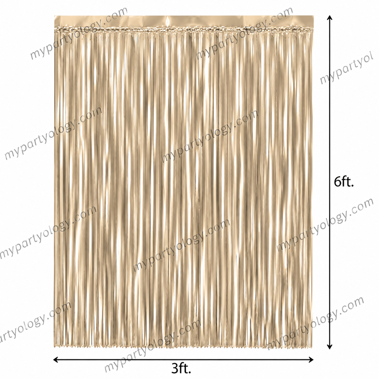 Matte Champagne Gold Fringe Foil Curtain